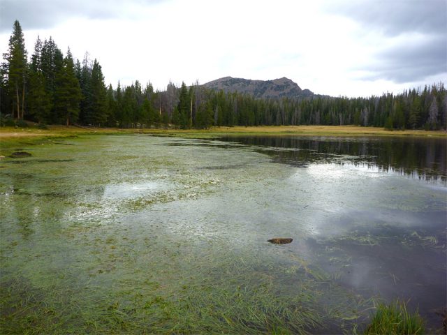 Lily Lake Utah