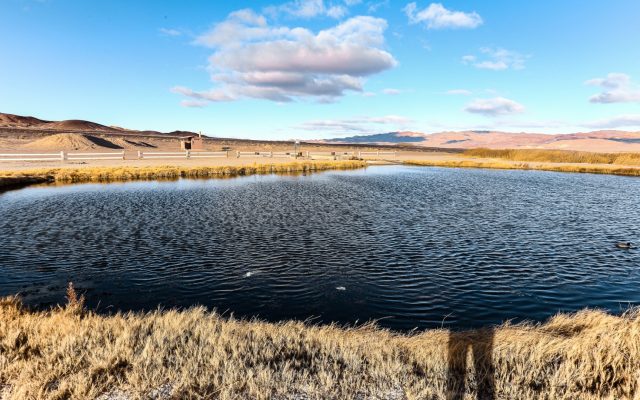 Fish Lake Valley Hot Springs in Nevada