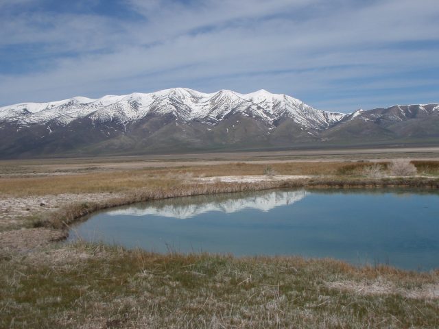 Natural Ruby Valley Hot Springs in Nevada