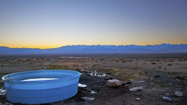 Natural Smith Creek Valley Hot Springs in Nevada