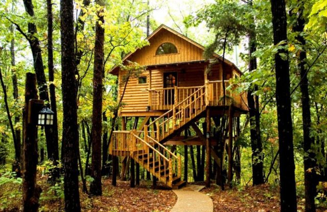 Tree Houses in Arkansas