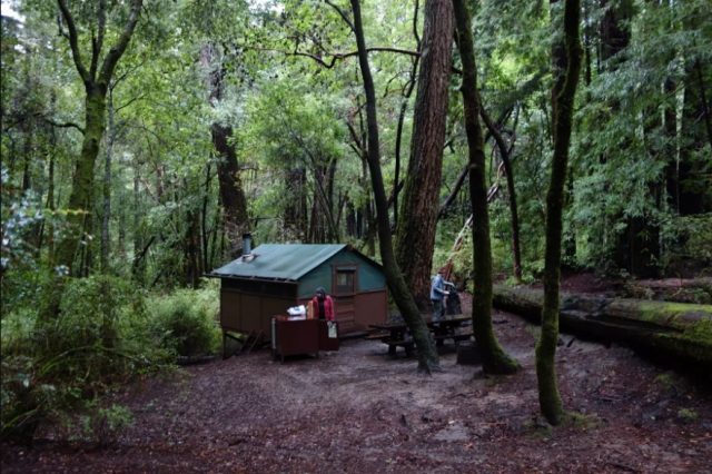 Big Basin Redwoods State Park Best Weekend Camping Trips from San Francisco