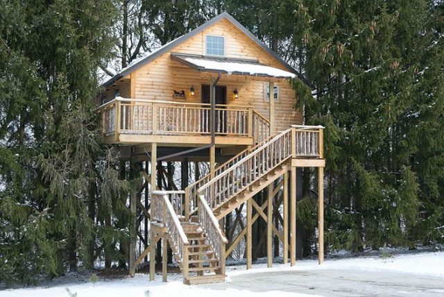 Lofty Willow Tree House in Berlin Ohio