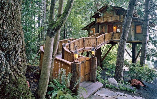 Tree Houses in Ohio