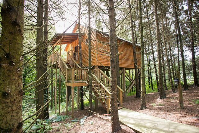 Whispering Pines Tree House Ohio