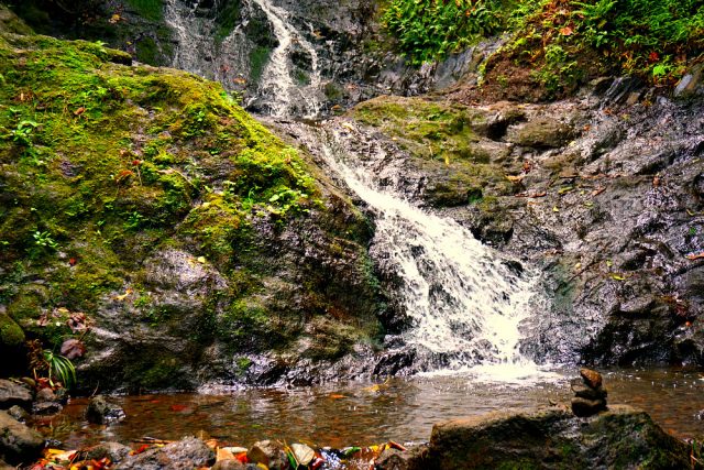 Likeke Falls Trailhead Best Waterfalls Hikes in Oahu Hawaii