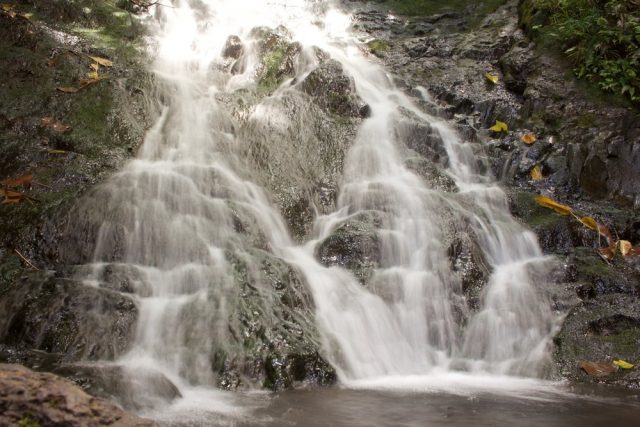 Likeke Falls Trailhead Waterfalls Hikes in Oahu