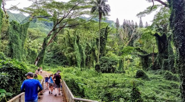 best waterfall hikes in oahu