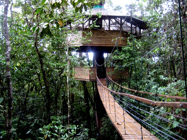 Costa Rica Tree House