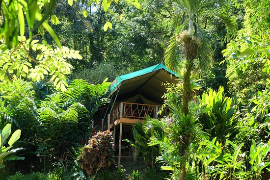 Rafiki Safari Lodge Costa Rica Tree House