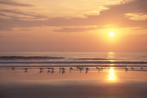 Beaches near Atlanta