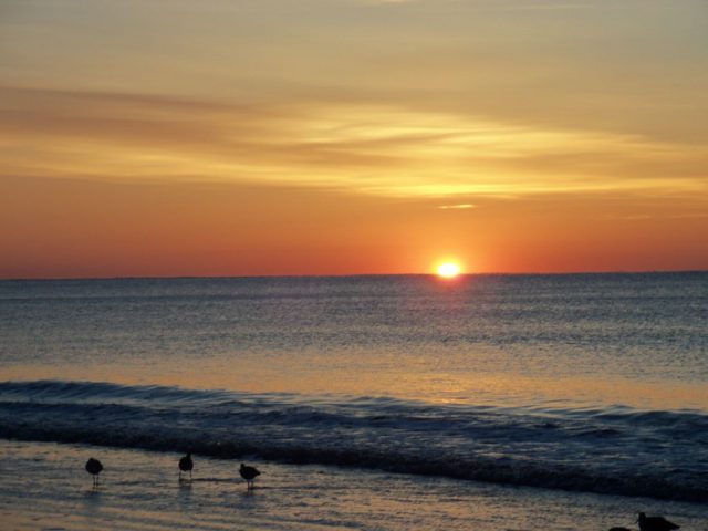 East Beach Atlanta