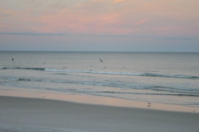 New Smyrna Beach Near to Atlanta