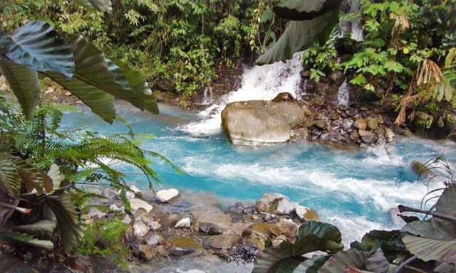 Blue River Hot Springs Resort Costa Rica