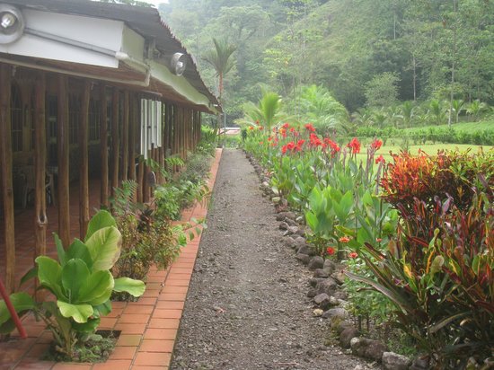 The Hot Springs Lodge Costa Rica Near Quepos