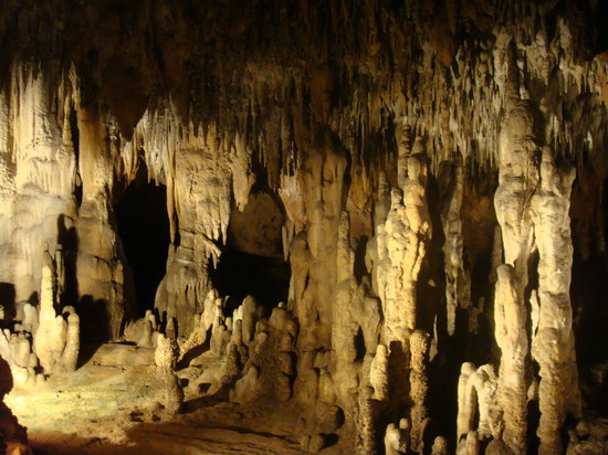 Best Caverns State Park in Florida