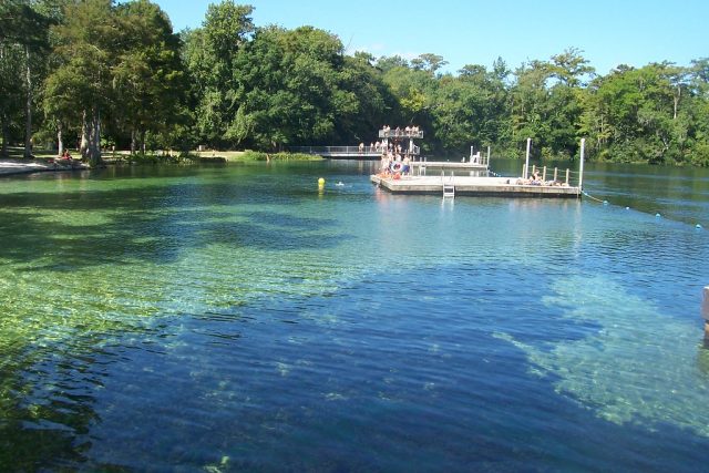 Best Edward Ball Wakulla Springs State Park Caves in Florida