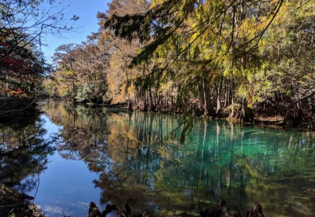 Best Manatee Springs State Park Caves in Florida