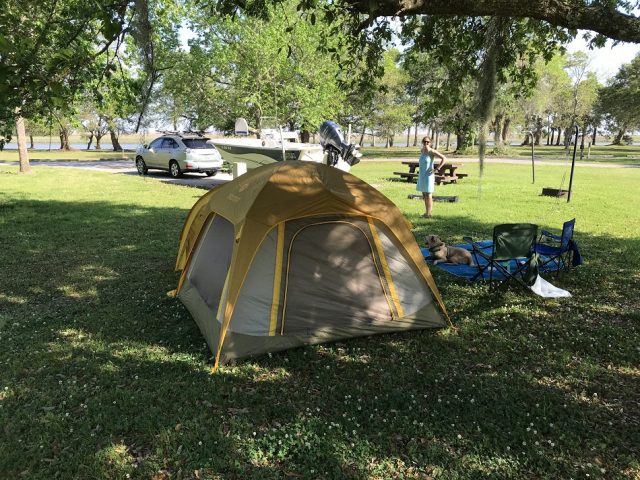 Buck Hall Recreation Area Camping in South Carolina