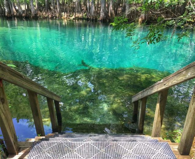 Cool Manatee Springs State Park Caves in Florida