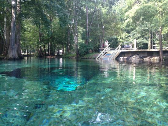 Gennie Springs Outdoors Cool Caves in Florida