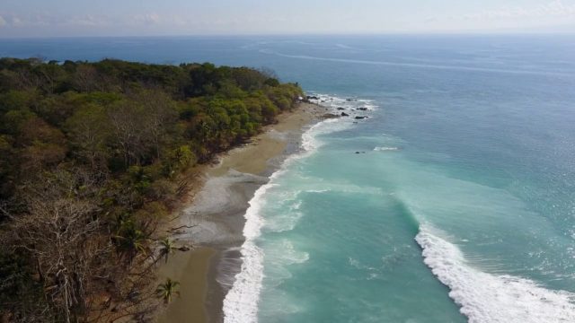 Playa Matapalo Best Beach in Costa Rica