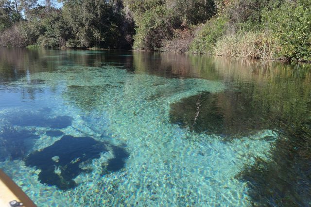 Weeki Wachee Springs Caves in Florida