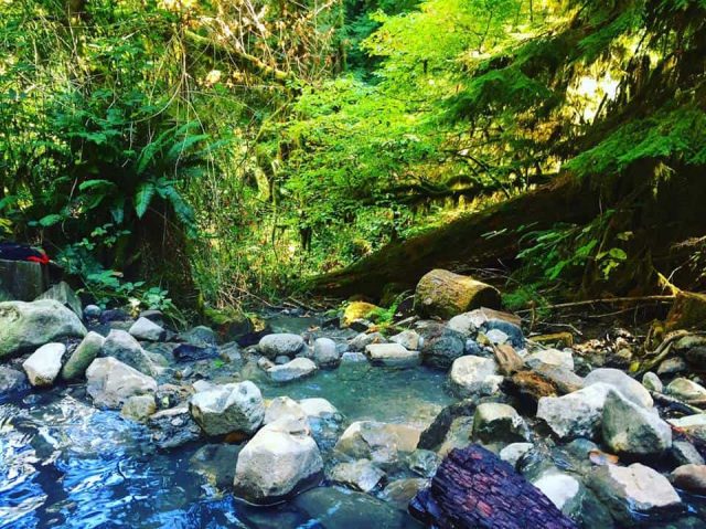 Best Natural Cougar Hot Springs in Oregon