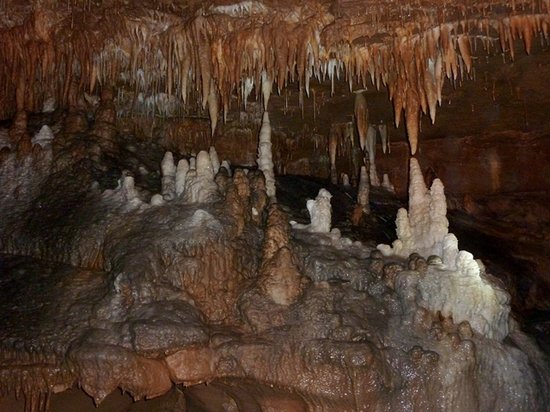 Cub Run Caves to Visit in Kentucky