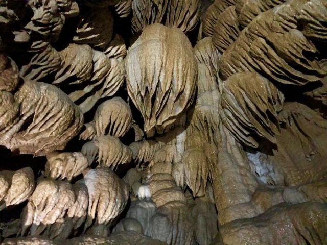 Best Oregon Caves National Monument and Preserve