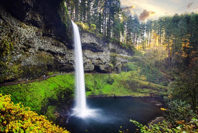 Silver Falls State Park Campground in Oregon