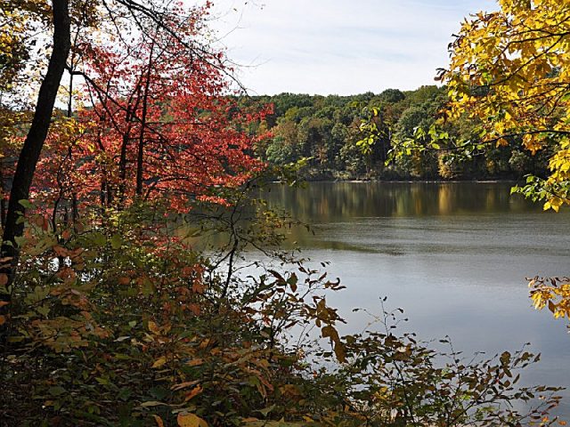 Burr Oak State Park Beach Ohio