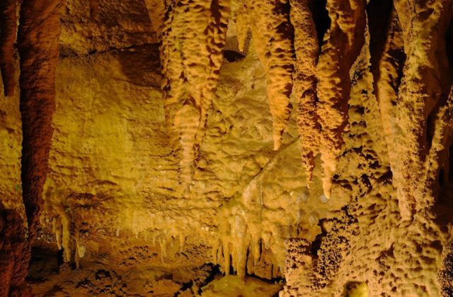 Forbidden Caverns Best in Tennessee