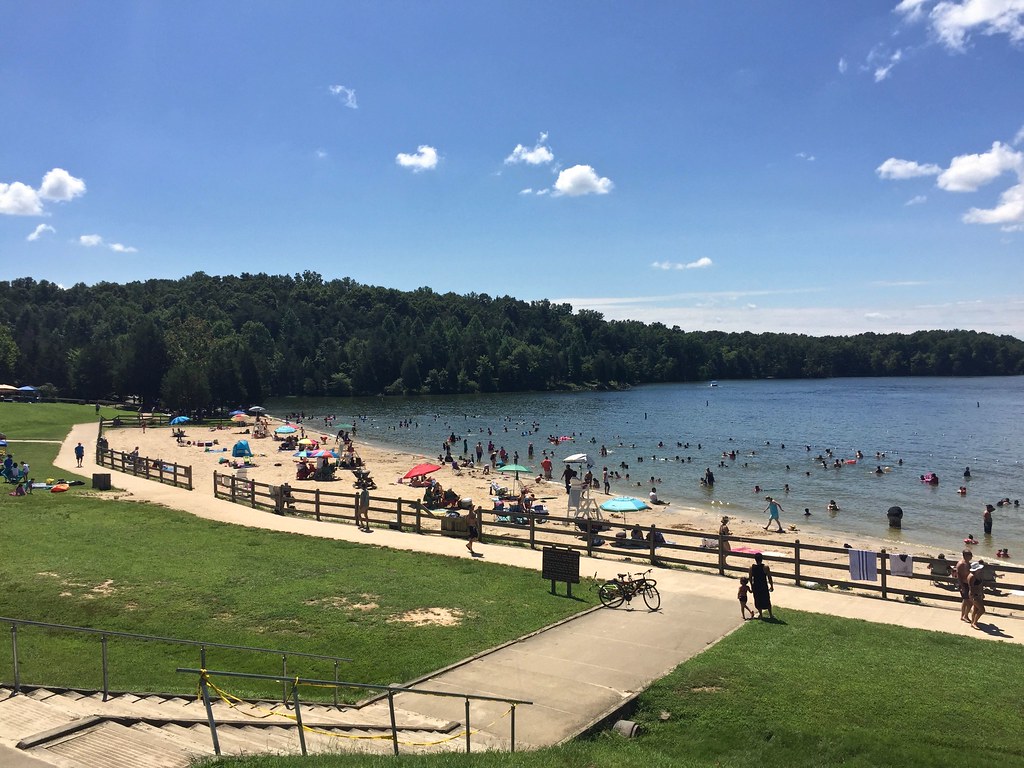 13 Best Lakes in Virginia to Swim, Fish or Just Unwind Flavorverse