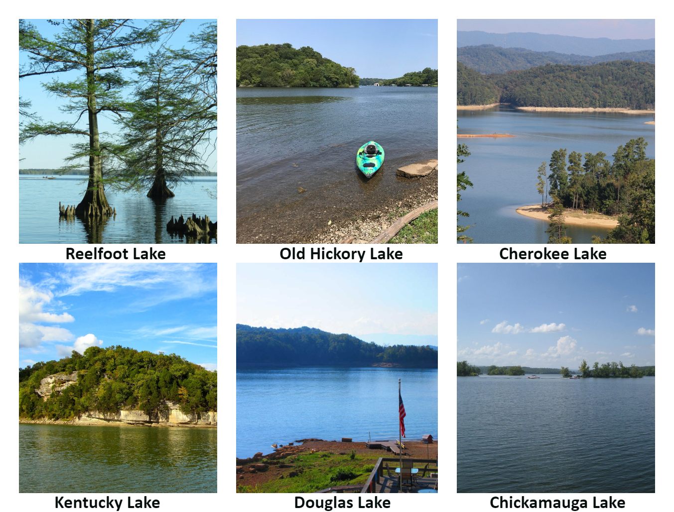 best lakes to live near in tennessee