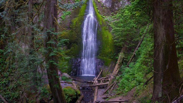 Marymere Falls in Northern Washington