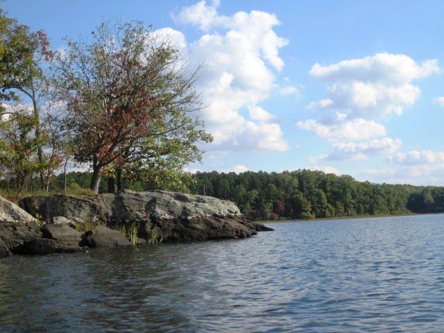 Little Grassy Lake in Southern Illinois
