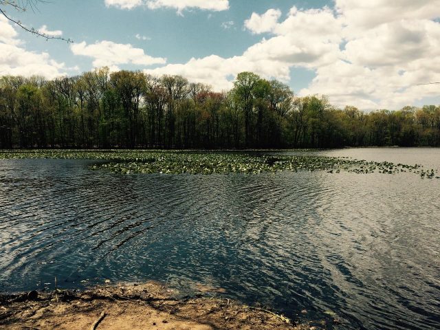Becks Pond in Delaware