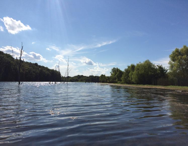 16 Best Lakes in Kentucky for a Memorable Vacation