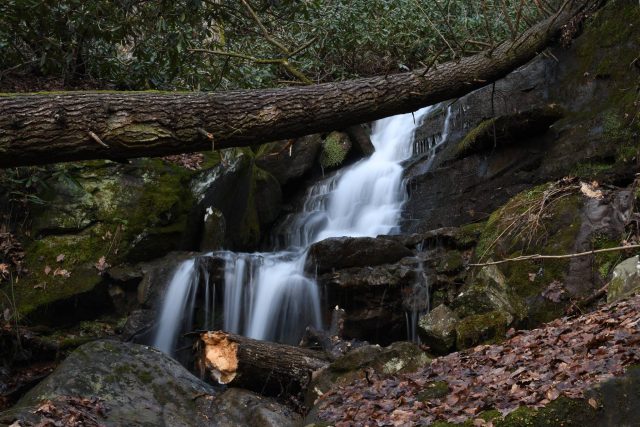 Fox Branch Falls in West Virginia