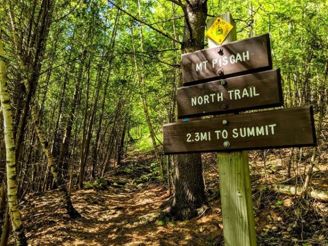 Mt. Pisgah Trail in Northern Vermont