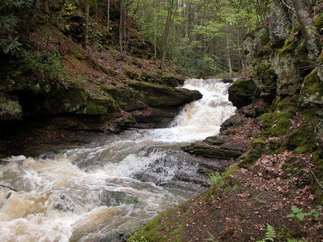 Pipestem Falls in West Virginia