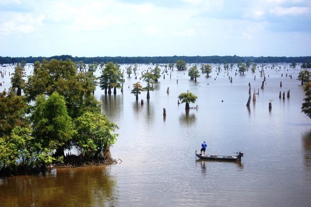 Henderson Lake in Louisiana