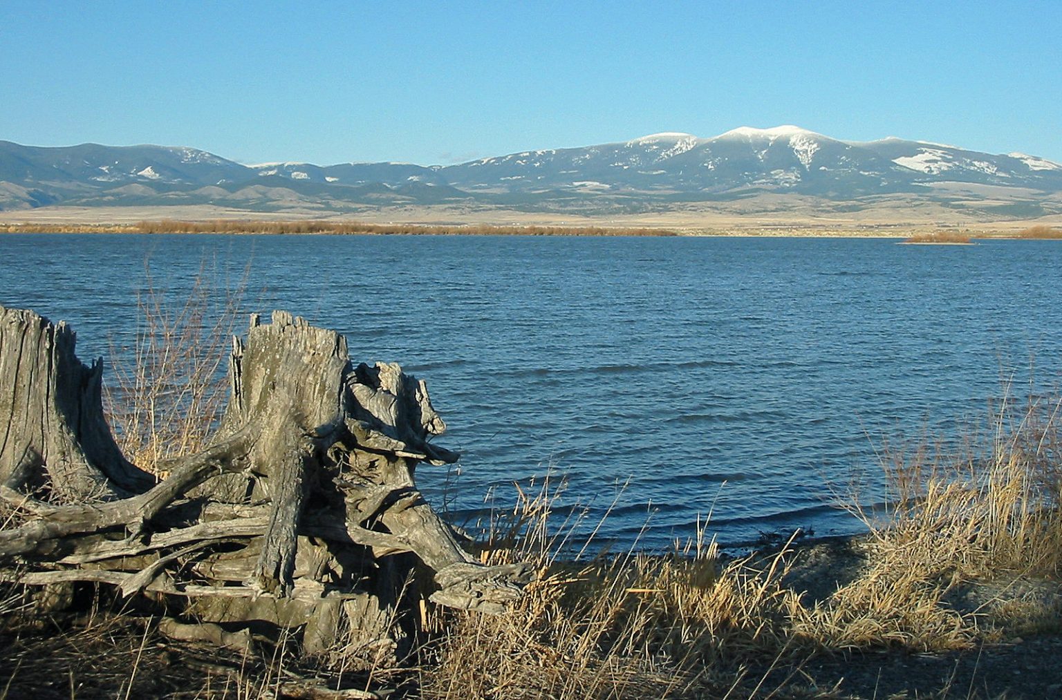 20 of the Most Beautiful Lakes in Montana to Go