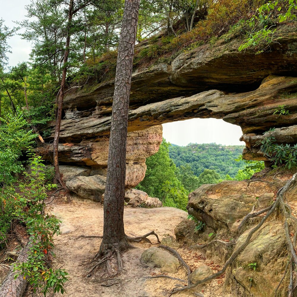 Hiking Trails in Kentucky