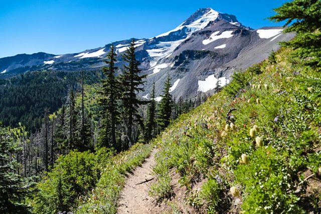 Mt. Hood National Forest Trail in Northern Oregon