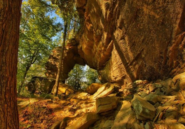 Red River Gorge Geological Area Trails in Eastern Kentucky