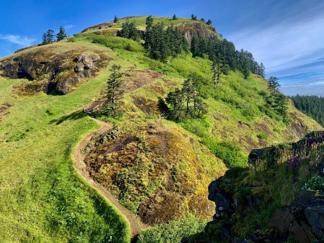 Saddle Mountain Trail in Northern Oregon