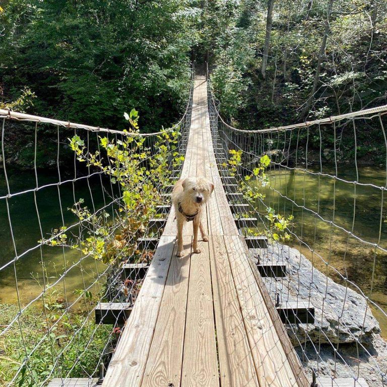 17 of the Best Hiking Trails in Kentucky