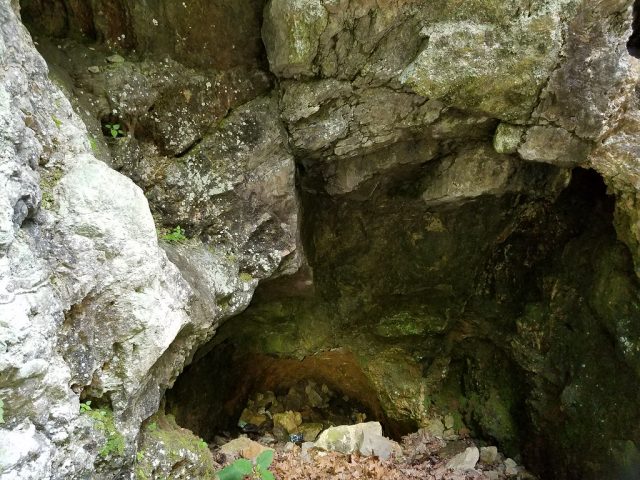 Cumberland Bone Cave in Maryland